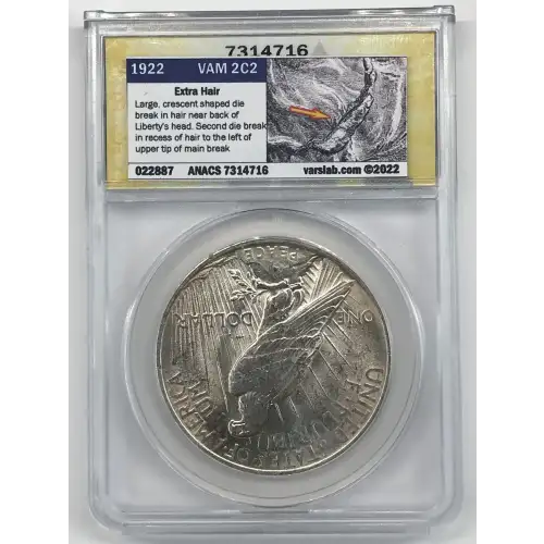 1922 P  Peace Silver Dollar ANACS MS-61 TOP 50 VAM-2C Extra Hair (VSS VAM-2C2)