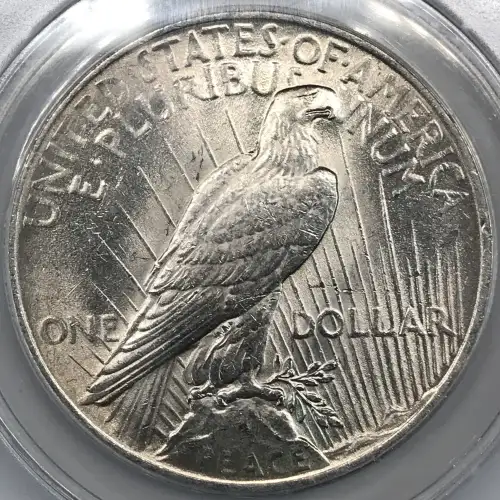 1922 P  Peace Silver Dollar ANACS MS-61 TOP 50 VAM-2C Extra Hair (VSS VAM-2C2) (2)