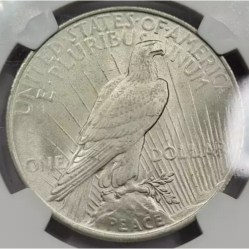 1922 P Peace Silver Dollar NGC MS-64 (4)