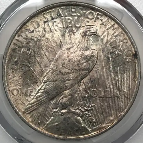 1923 $1 (4)