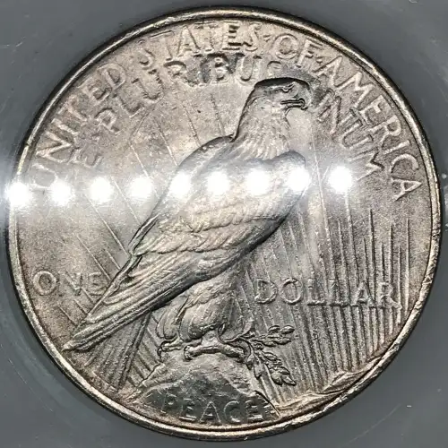 1923 $1