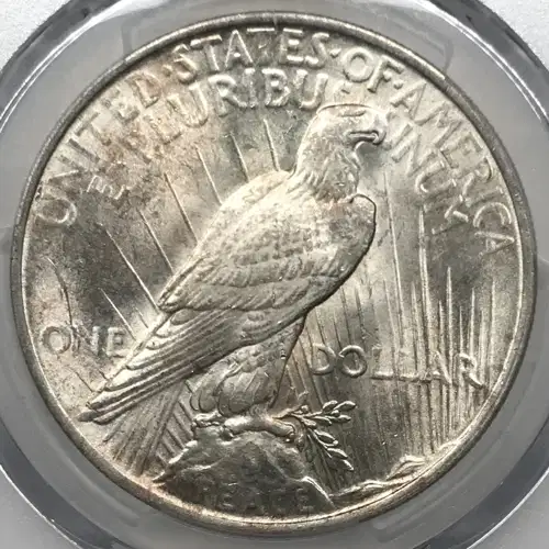 1923 $1 (5)