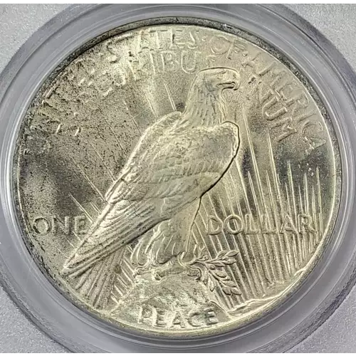 1923 $1