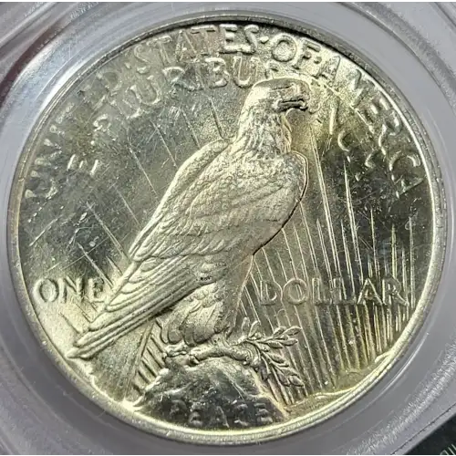1923 $1