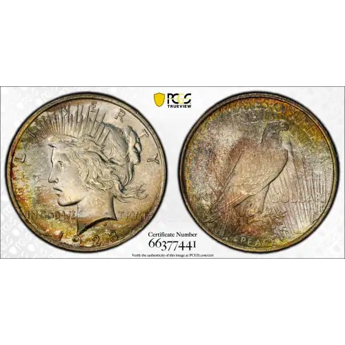 1923 $1