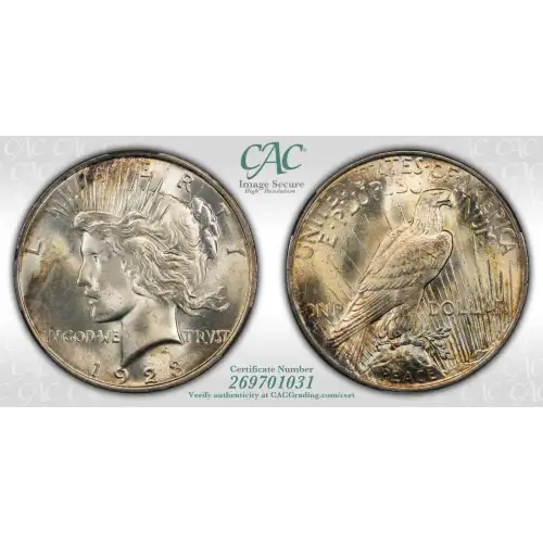 1923 $1