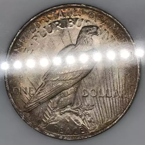 1923 (5)