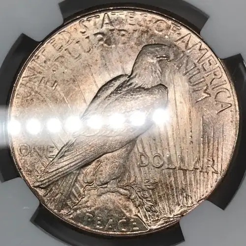 1923 (5)