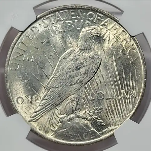 1923