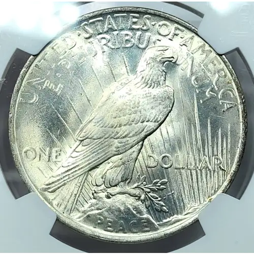 1923