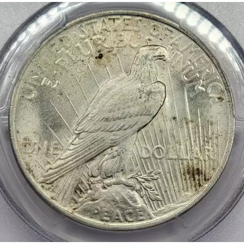  1923 P Peace Silver Dollar PCGS MS-63 (2)