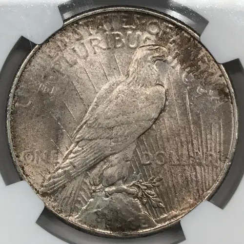 1924 (7)
