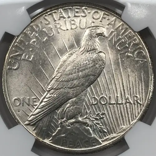 1926