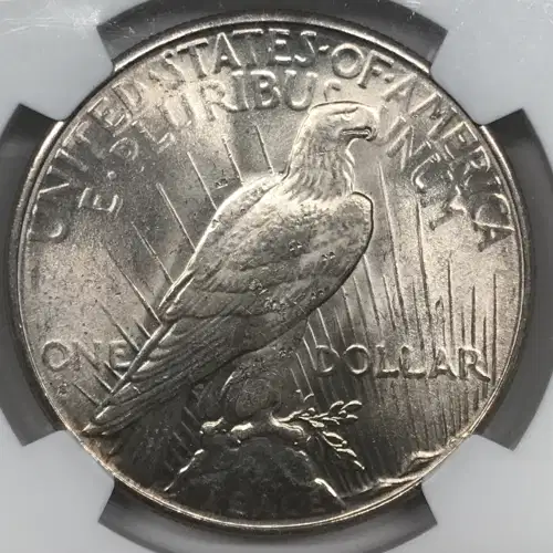 1926 (5)