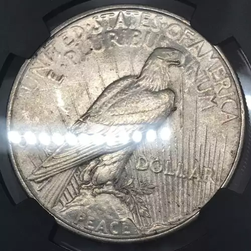 1934 (5)