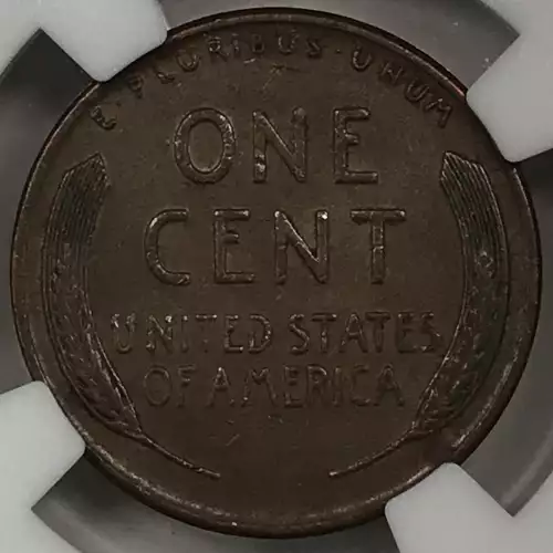 1955 DOUBLED  BN (2)