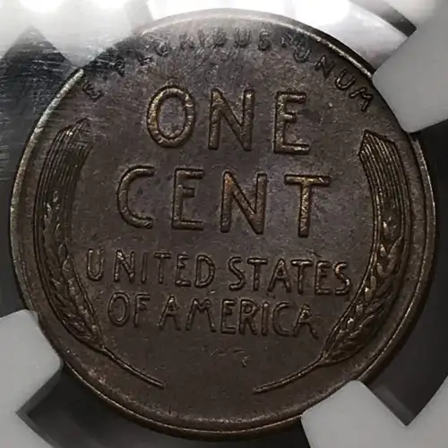 1955 DOUBLED  BN (2)