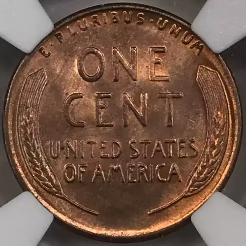 1955  RD (4)