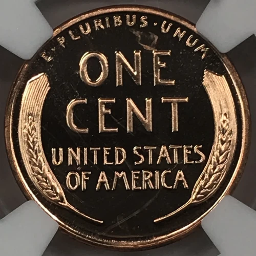 1955  RD CAMEO (4)