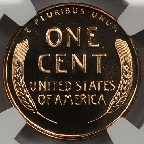 1955  RD CAMEO (3)