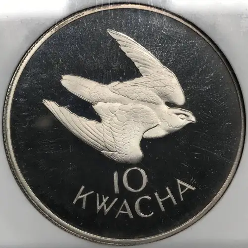 1979 TAITA FALCON ULTRA CAMEO (3)