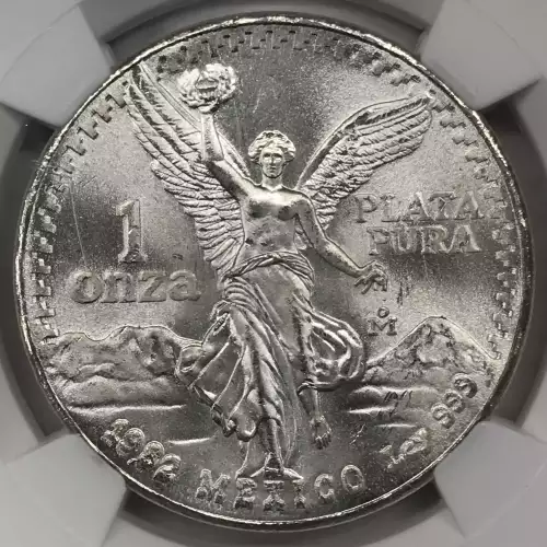 1982Mo SILVER DOUBLED DIE REVERSE #1 (3)