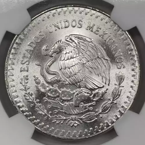 1982Mo SILVER DOUBLED DIE REVERSE #1 (2)