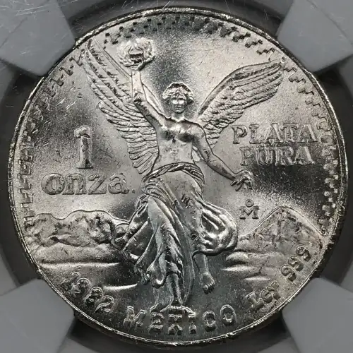 1982Mo SILVER DOUBLED DIE REVERSE #1 (2)