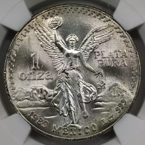 1983Mo SILVER DOUBLED DIE REVERSE (2)