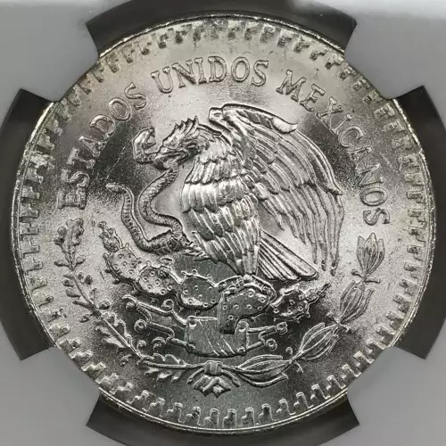 1984Mo Silver (3)