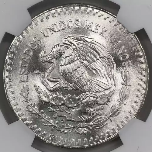 1985Mo Silver (5)