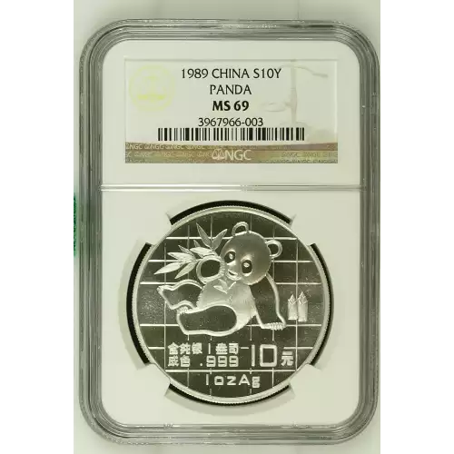 1989 Panda (2)