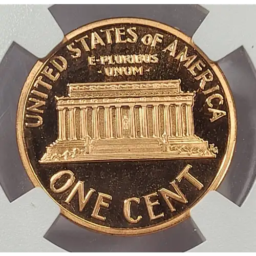 1992  RD ULTRA CAMEO (4)