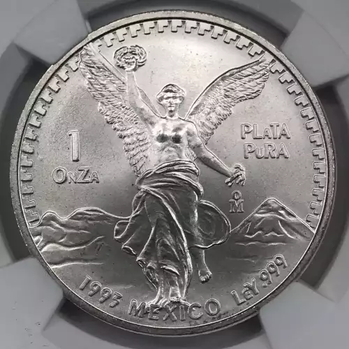 1993Mo Silver  (3)