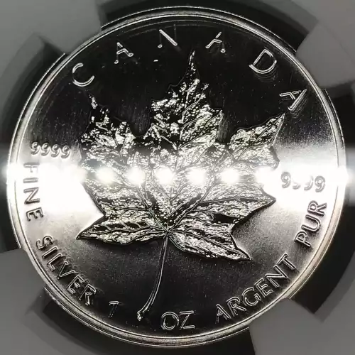 1996 MAPLE LEAF  (3)