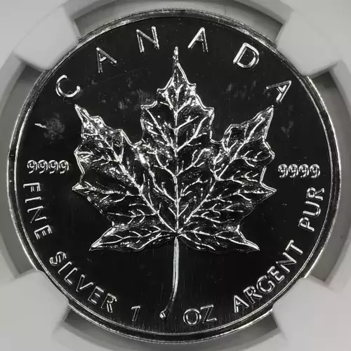 1997 MAPLE LEAF  (2)