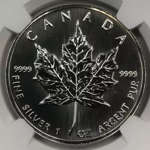 1997 MAPLE LEAF (2)