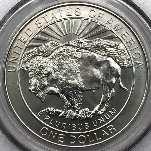 1999-P $1 Yellowstone (3)