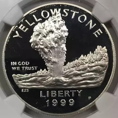 1999 YELLOWSTONE ULTRA CAMEO (3)