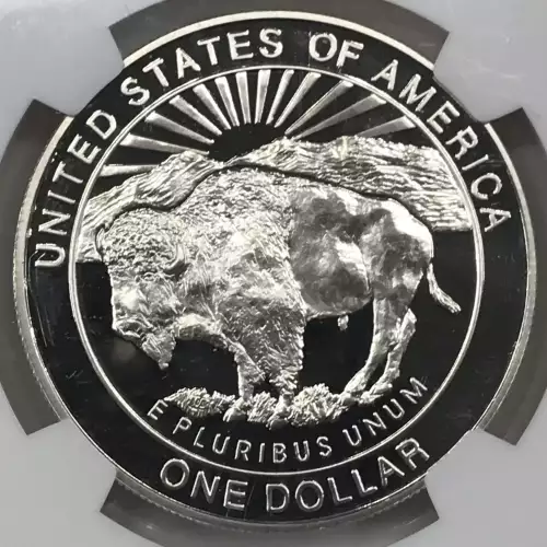 1999 YELLOWSTONE ULTRA CAMEO (2)