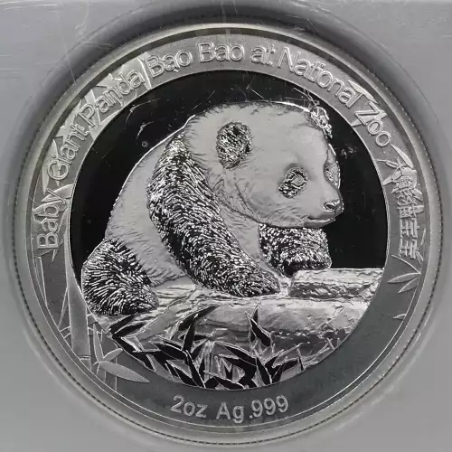 2 oz Silver (2)