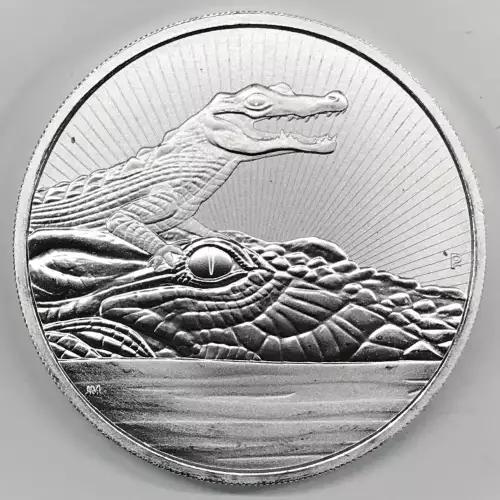 2 oz Silver