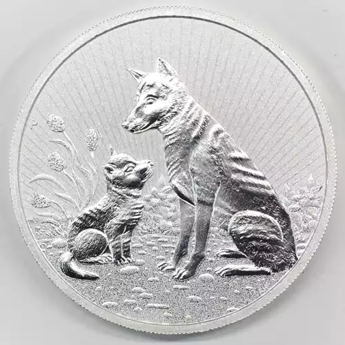 2 oz Silver (2)