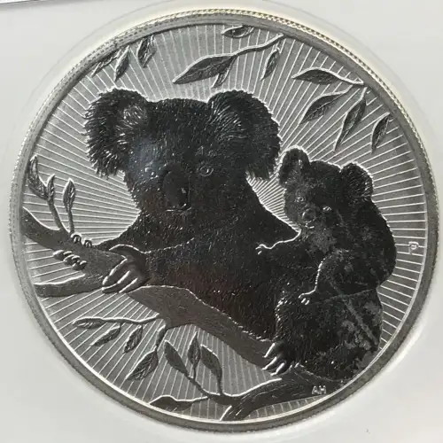 2 oz Silver (COIN) (2)
