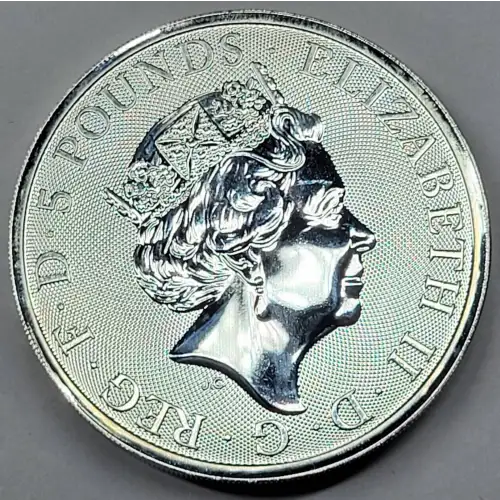 2 oz Silver (COIN)