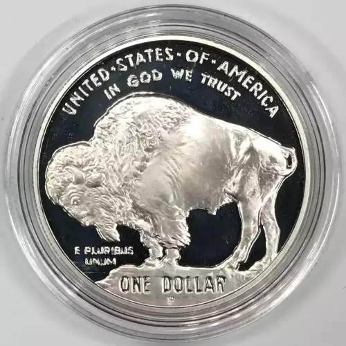 2001 American Buffalo - Two Coin Set - Uncirculated & Proof - One Each - Silver Dollar - Box & COA (5)