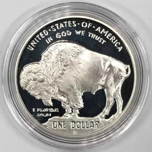 2001 American Buffalo - Two Coin Set - Uncirculated & Proof - One Each - Silver Dollar - Box & COA (5)