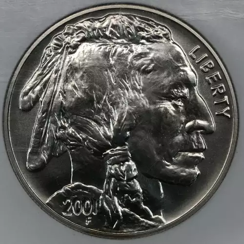 2001 BUFFALO  (4)