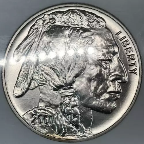 2001 BUFFALO  (3)