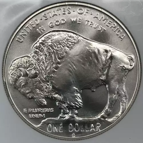 2001 BUFFALO  (2)